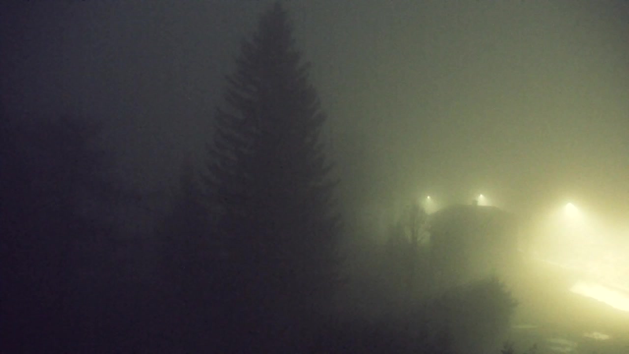 Webcam Lokve – La beauté de la forêt de Trnovo