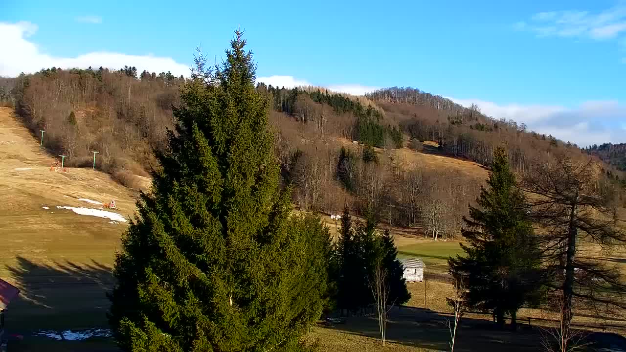 Webcam Lokve – The beauty of the Trnovo forest