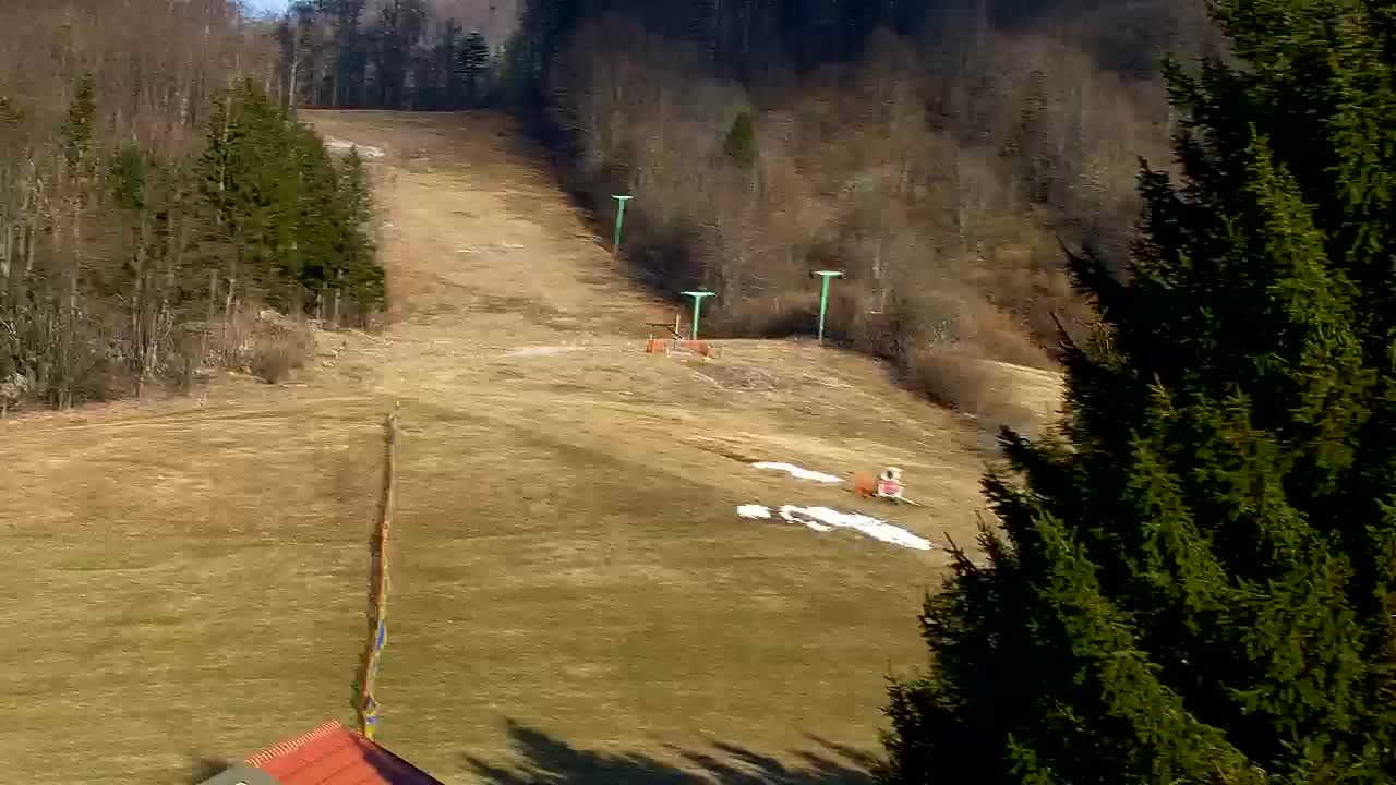 Webcam Lokve – La beauté de la forêt de Trnovo