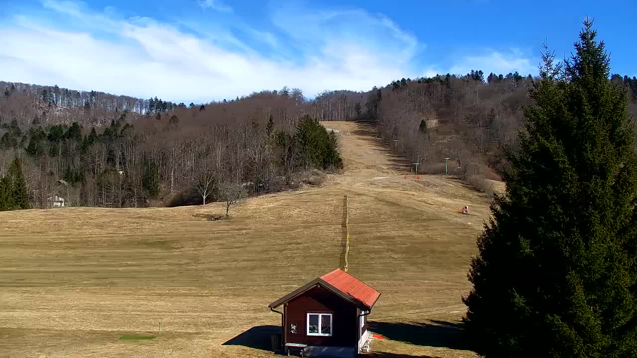 Webcam Lokve – The beauty of the Trnovo forest