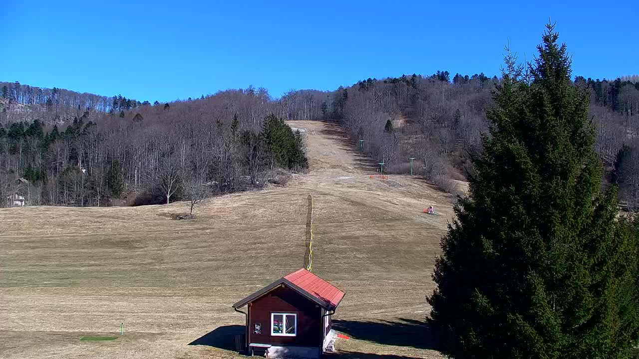 Webcam Lokve – The beauty of the Trnovo forest