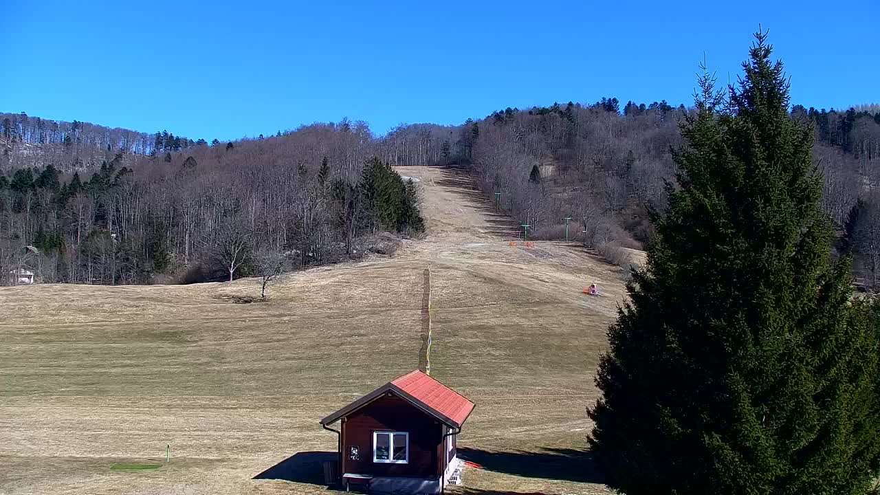 Webcam Lokve – La beauté de la forêt de Trnovo