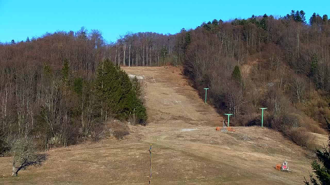 Webcam Loqua / Lokve – La bellezza della selva di Tarnova