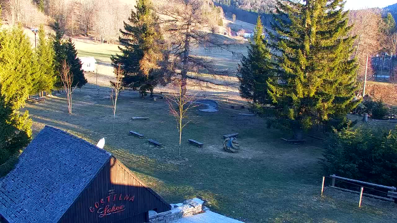 Webcam Lokve – La beauté de la forêt de Trnovo