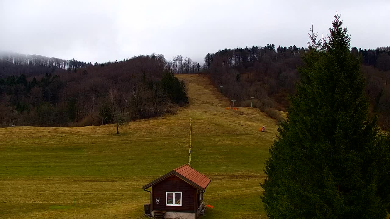 Webcam Lokve – The beauty of the Trnovo forest