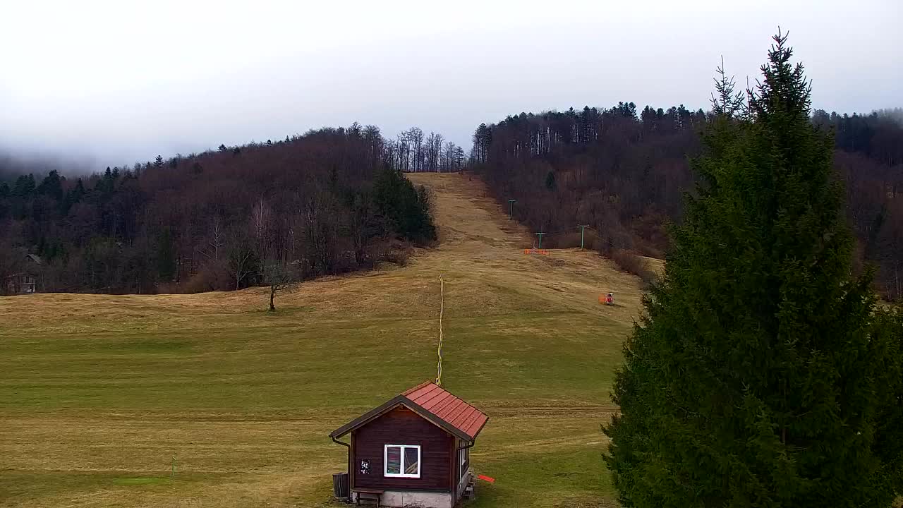 Webcam Lokve – Die Schönheit des Trnovo-Waldes