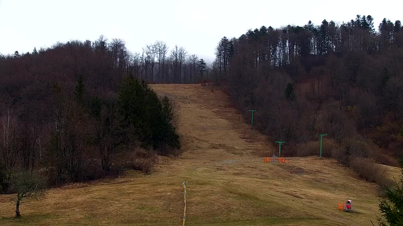 Webcam Lokve – The beauty of the Trnovo forest