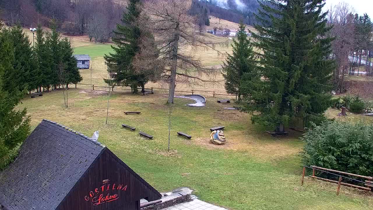 Webcam Lokve – La beauté de la forêt de Trnovo