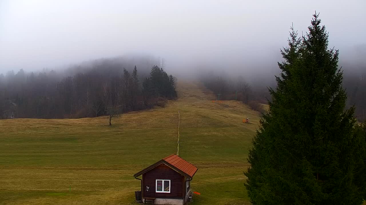 Webcam Lokve – La beauté de la forêt de Trnovo