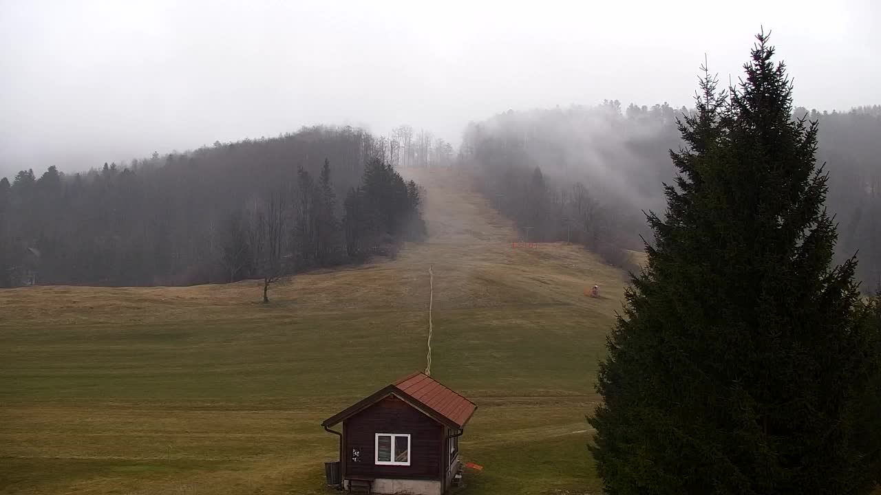 Webcam Loqua / Lokve – La bellezza della selva di Tarnova