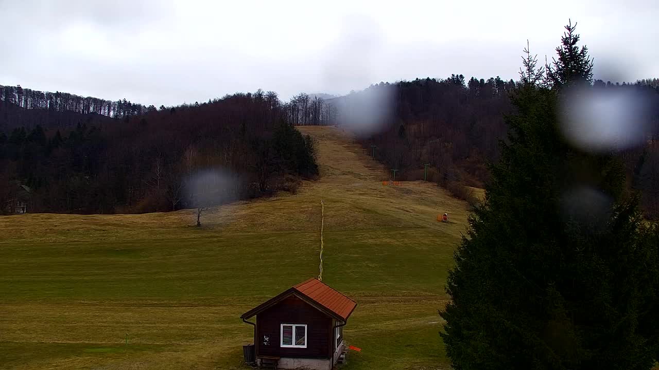 Camera en vivo Lokve – La belleza del bosque de Trnovo