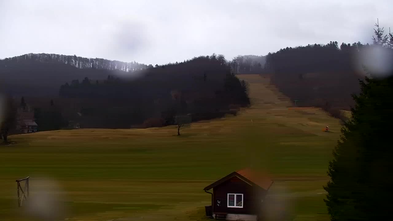 Webcam Lokve – The beauty of the Trnovo forest