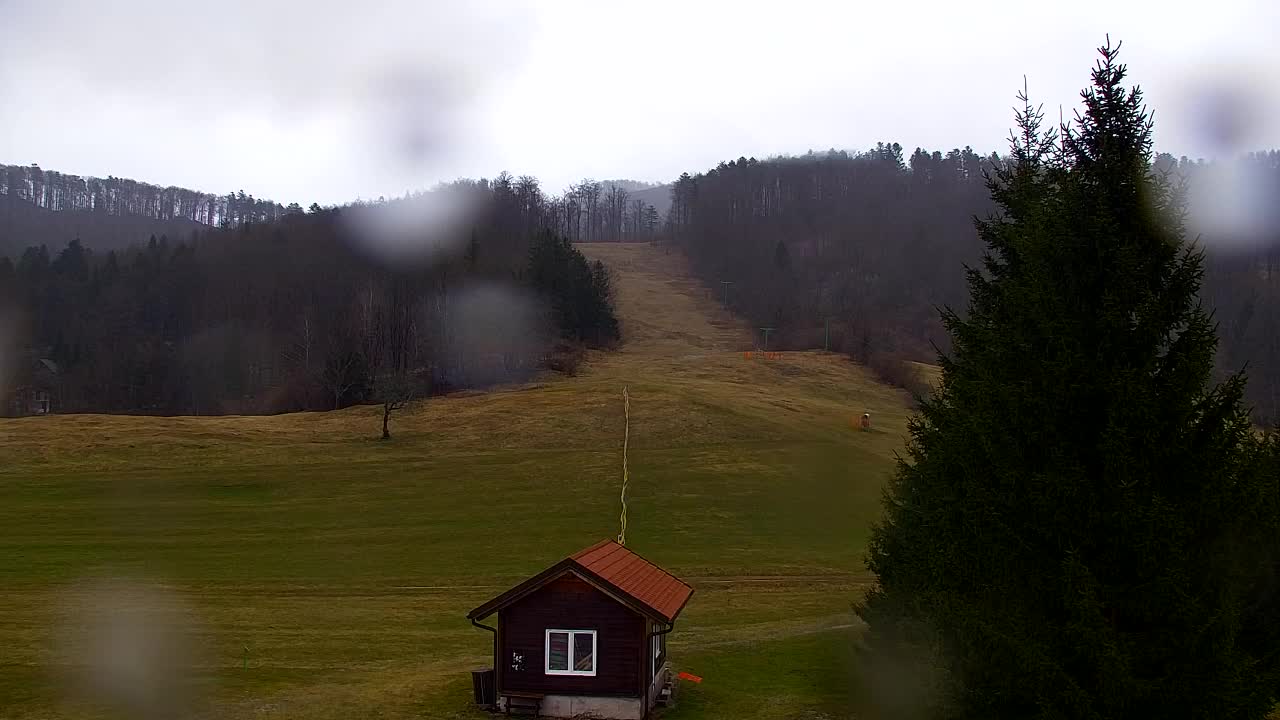 Webcam Lokve – The beauty of the Trnovo forest