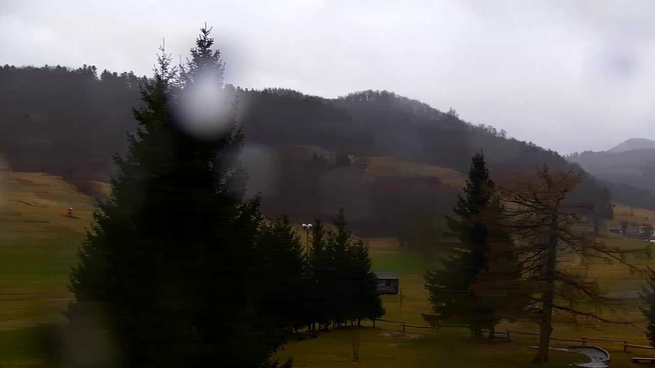 Webcam Lokve – The beauty of the Trnovo forest