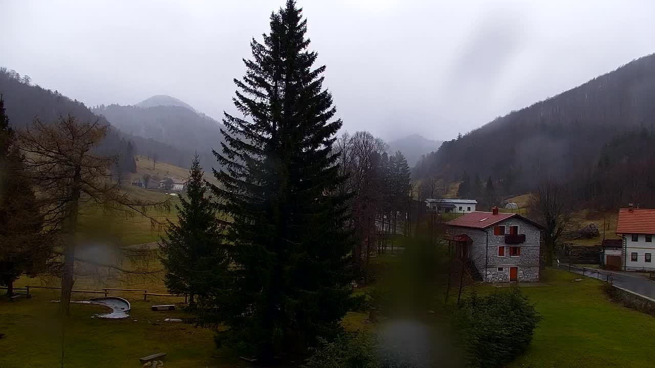 Webcam Lokve – La beauté de la forêt de Trnovo