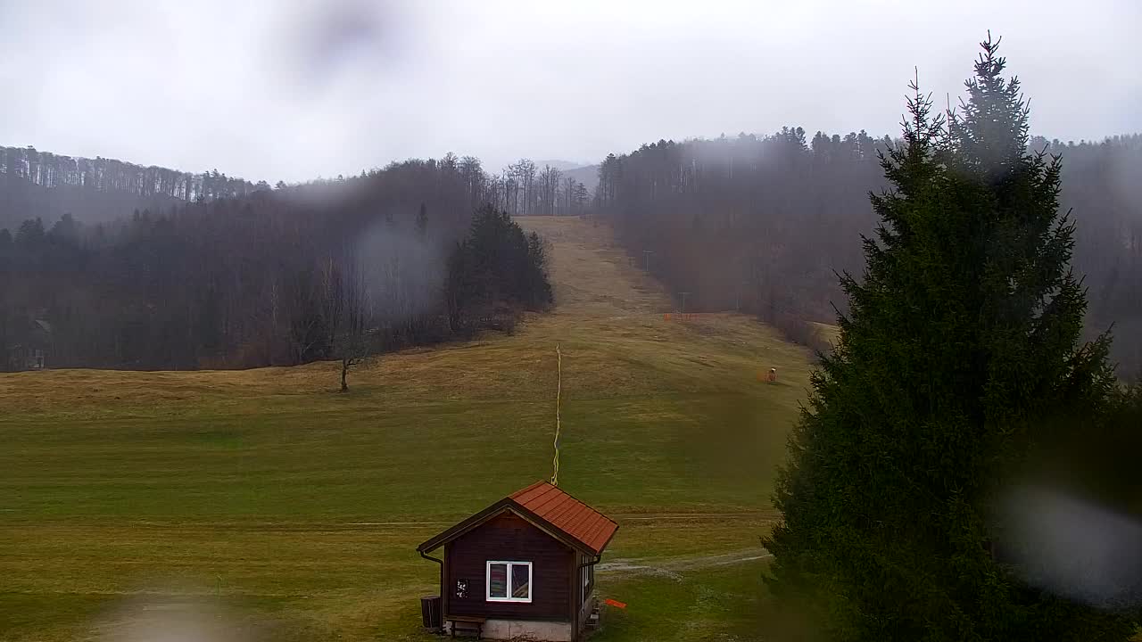 Webcam Lokve – Die Schönheit des Trnovo-Waldes