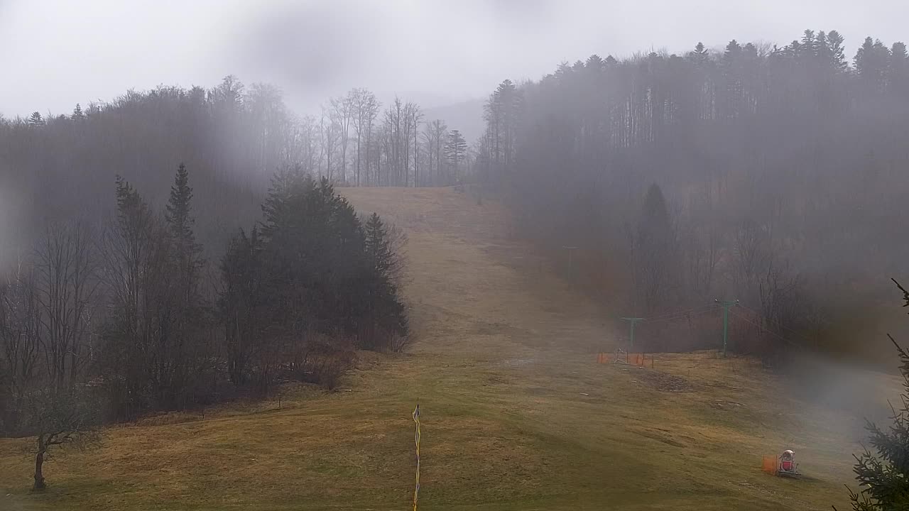 Webcam Loqua / Lokve – La bellezza della selva di Tarnova