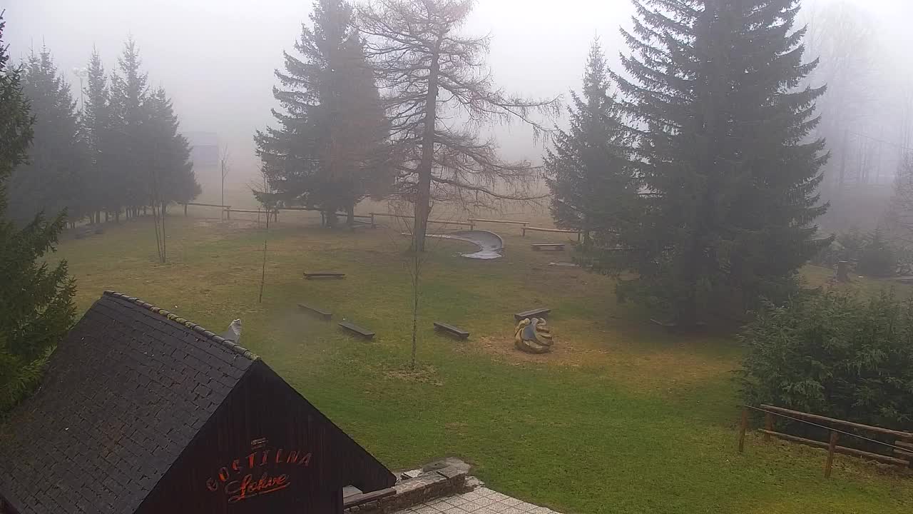 Webcam Lokve – The beauty of the Trnovo forest