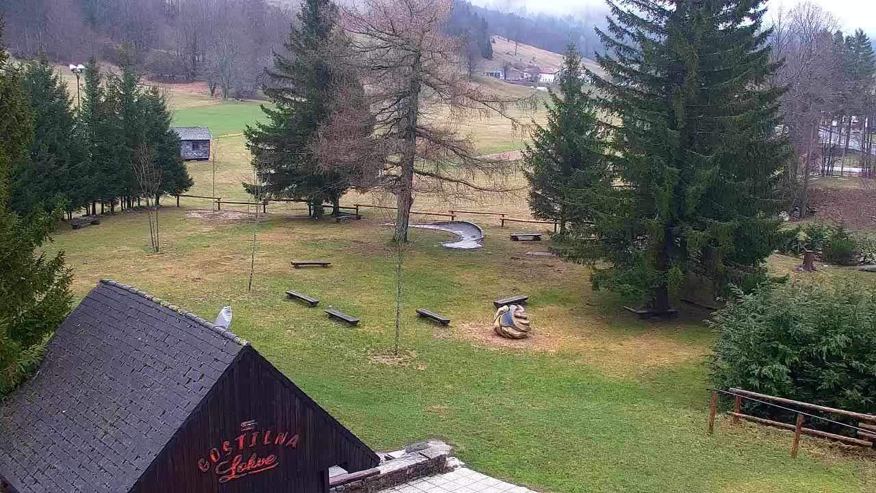 Webcam Lokve – La beauté de la forêt de Trnovo