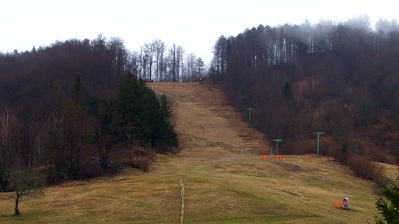 Webcam Lokve – The beauty of the Trnovo forest