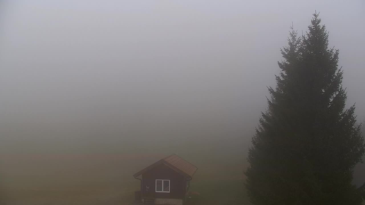 Webcam Lokve – The beauty of the Trnovo forest