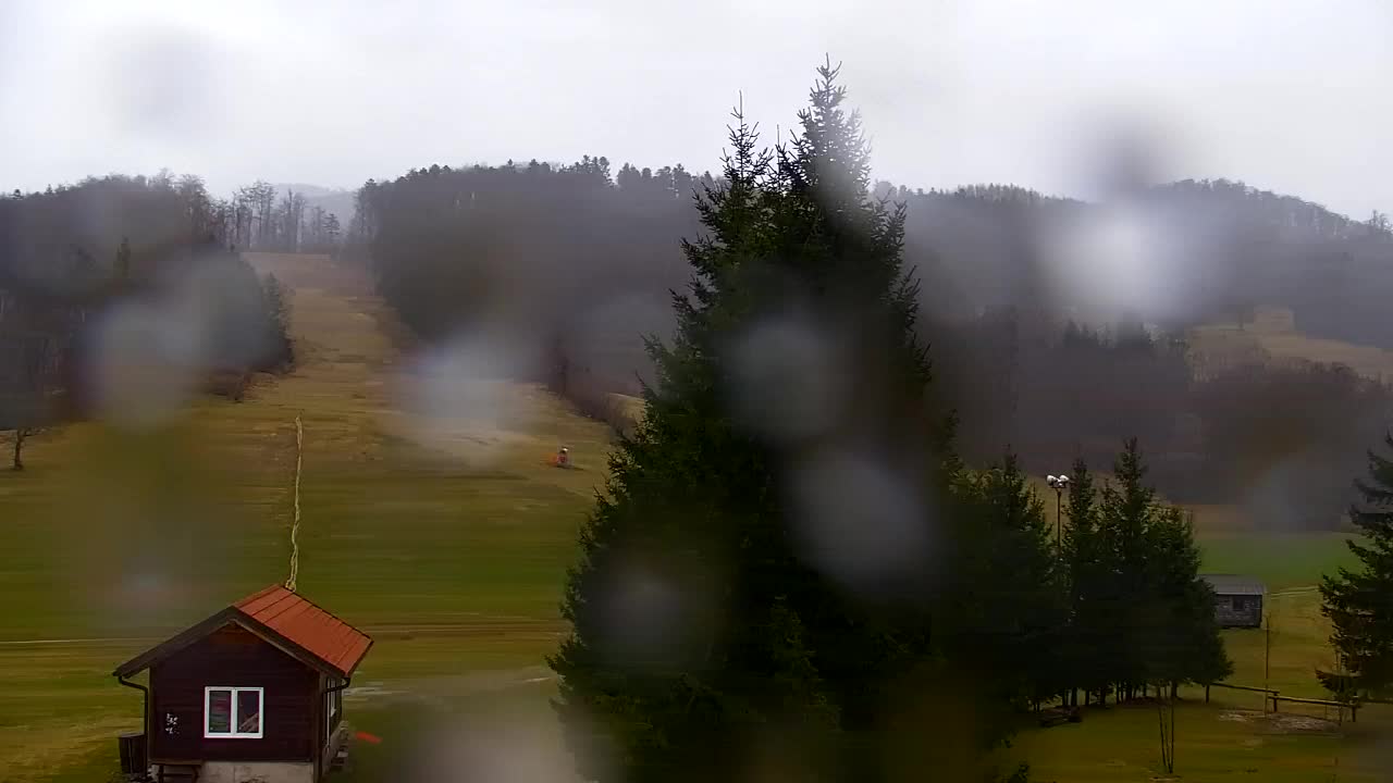 Webcam Lokve – La beauté de la forêt de Trnovo