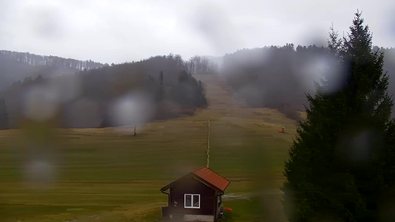 Webcam Lokve – La beauté de la forêt de Trnovo