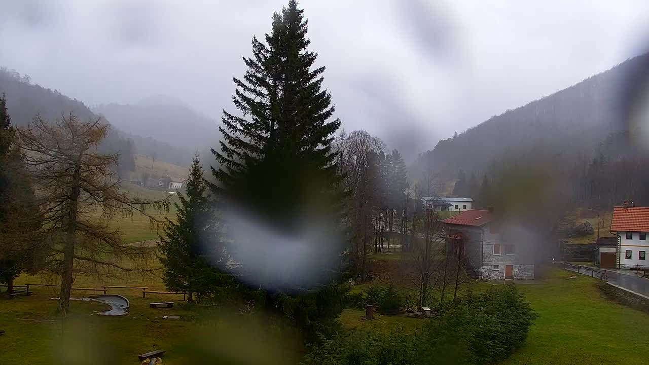 Webcam Lokve – La beauté de la forêt de Trnovo