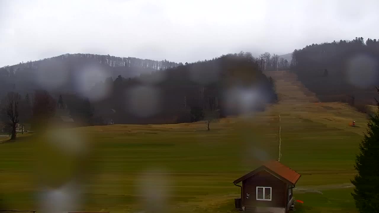 Webcam Lokve – La beauté de la forêt de Trnovo