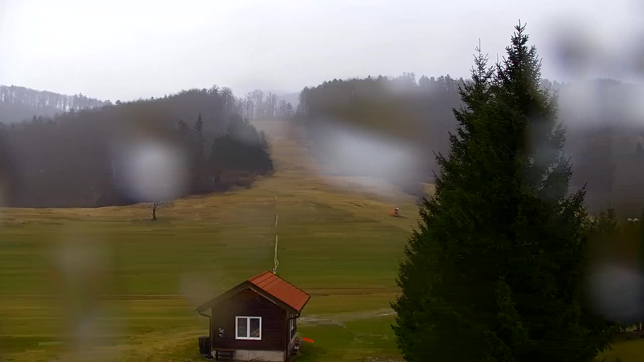 Webcam Lokve – La beauté de la forêt de Trnovo