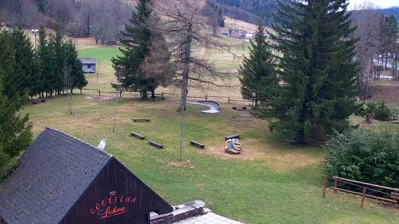 Webcam Loqua / Lokve – La bellezza della selva di Tarnova