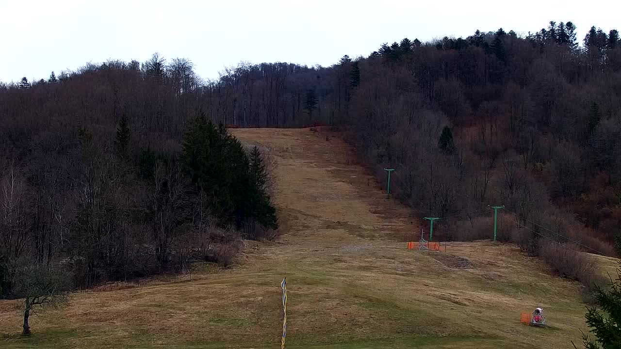 Webcam Lokve – The beauty of the Trnovo forest