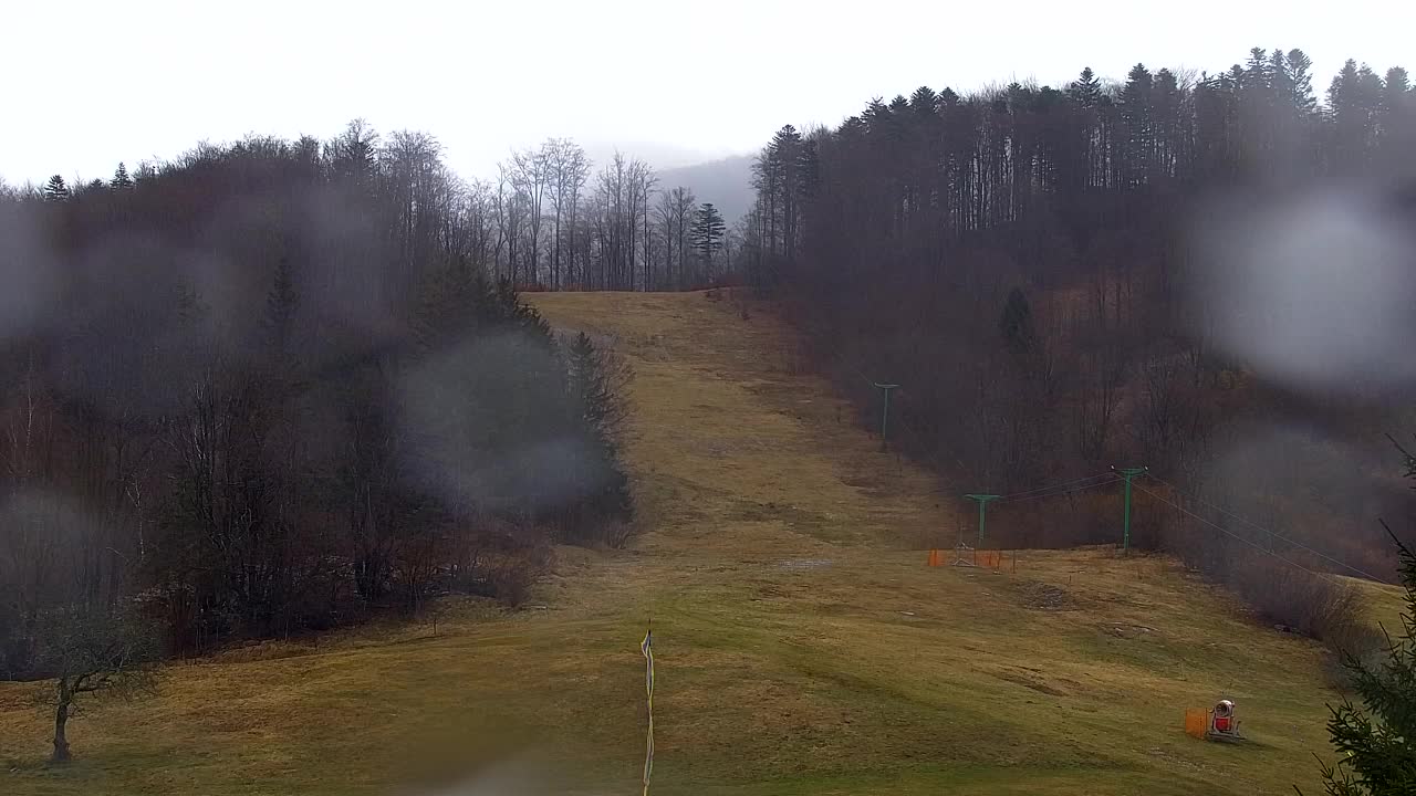 Webcam Lokve – The beauty of the Trnovo forest