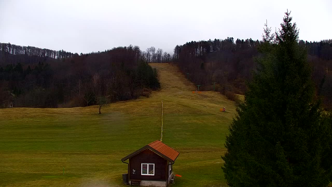 Webcam Lokve – The beauty of the Trnovo forest