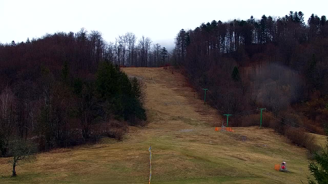 Webcam Lokve – The beauty of the Trnovo forest