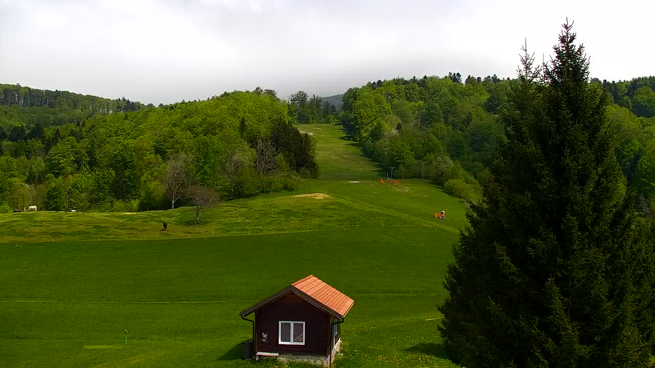 Webcam Lokve – The beauty of the Trnovo forest