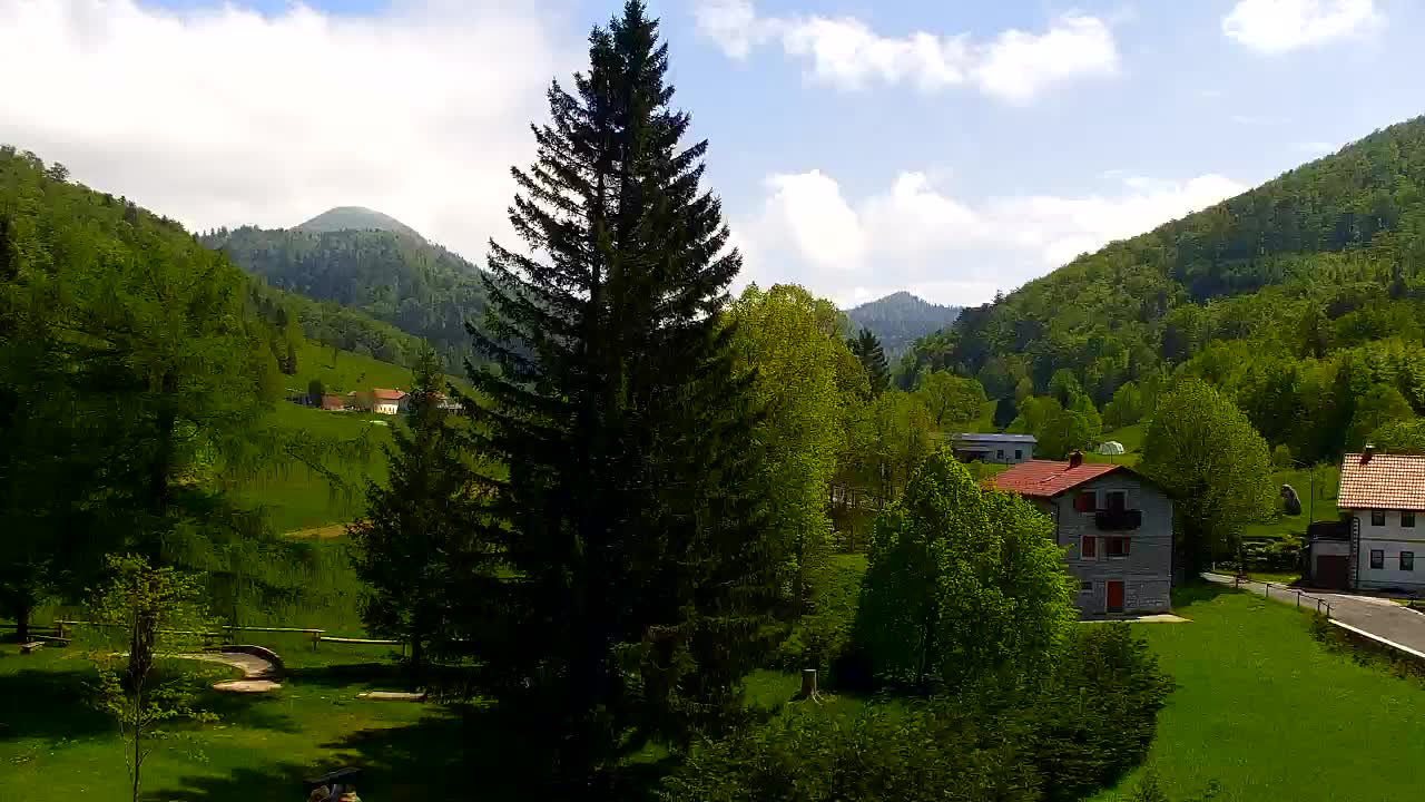 Webcam Lokve – The beauty of the Trnovo forest