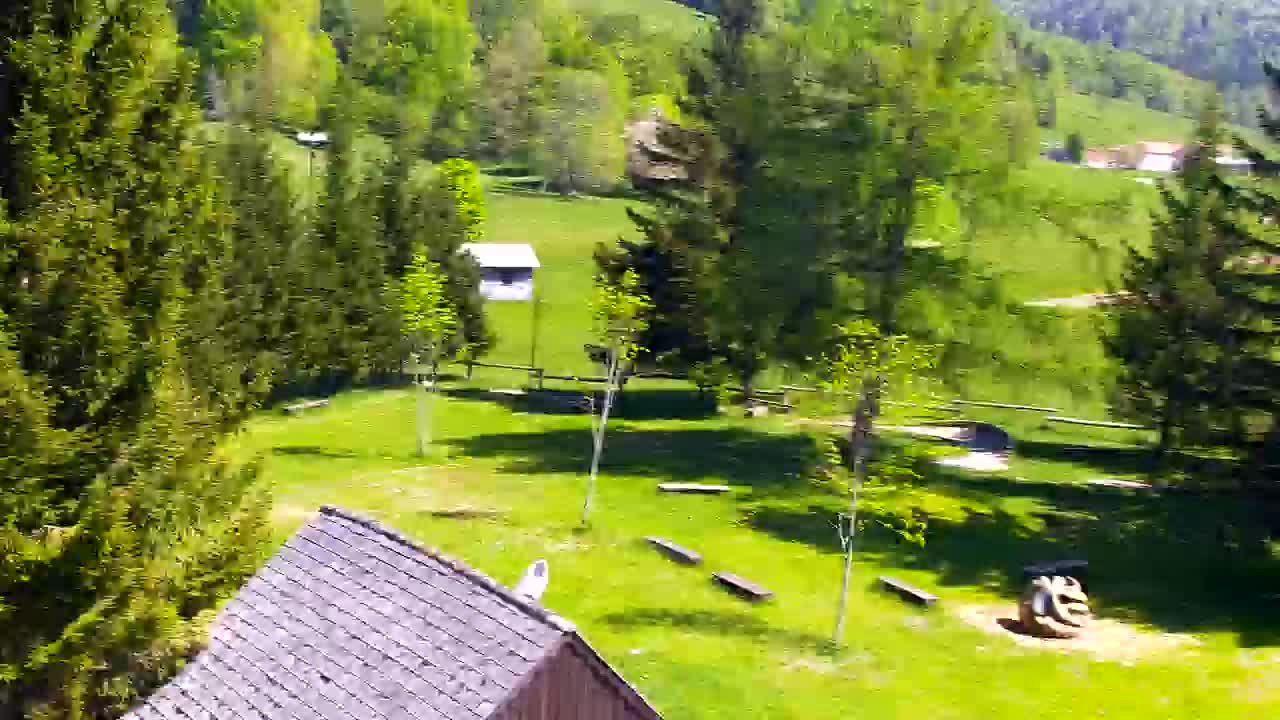 Webcam Lokve – The beauty of the Trnovo forest