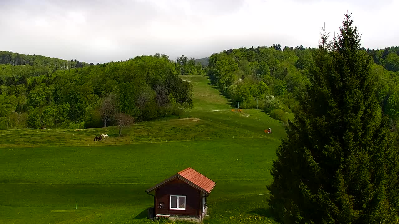 Webcam Loqua / Lokve – La bellezza della selva di Tarnova