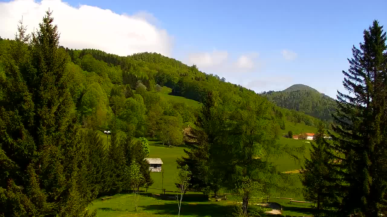 Webcam Lokve – The beauty of the Trnovo forest