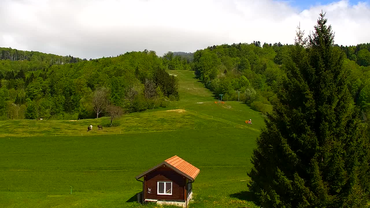 Webcam Lokve – The beauty of the Trnovo forest