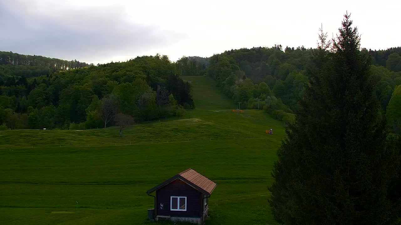 Webcam Lokve – The beauty of the Trnovo forest