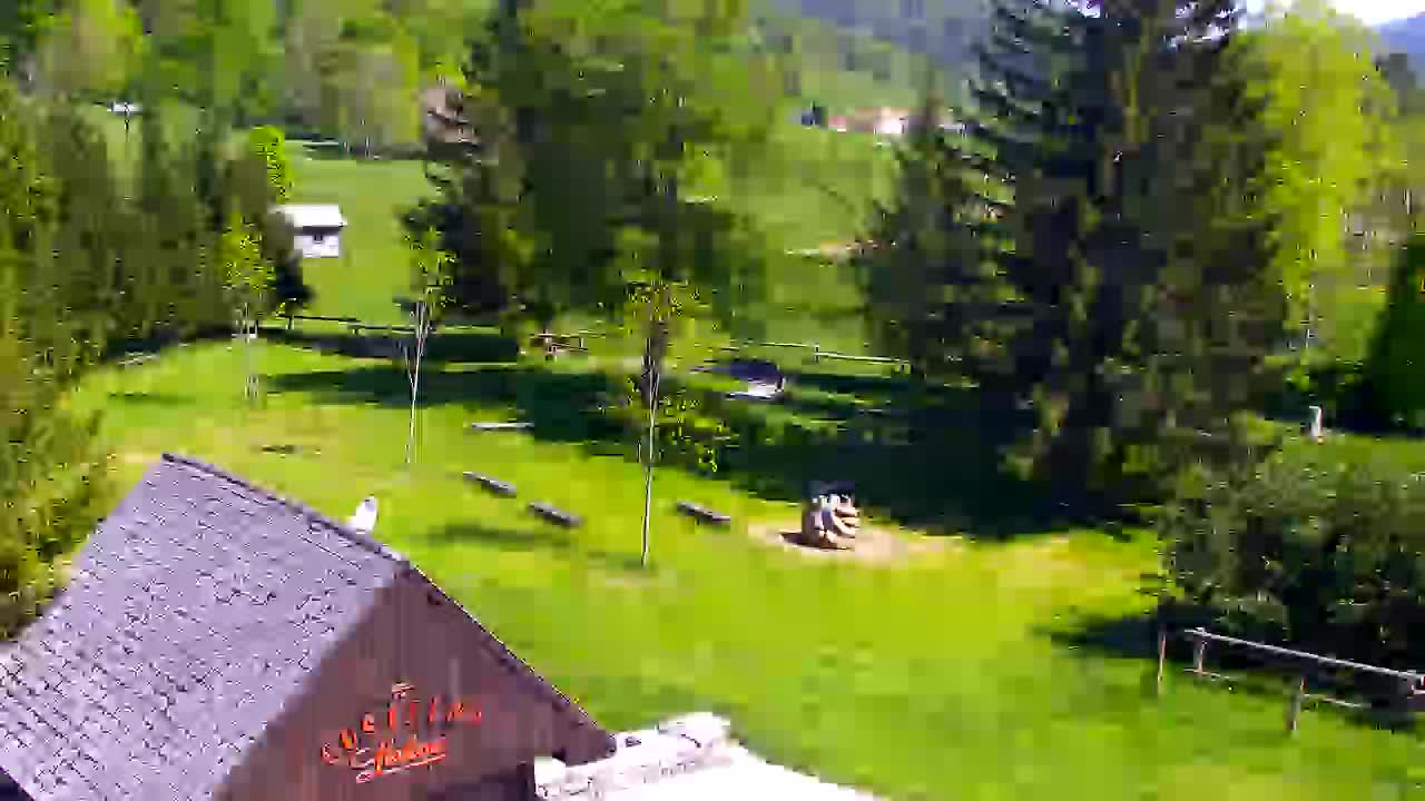 Webcam Lokve – La beauté de la forêt de Trnovo
