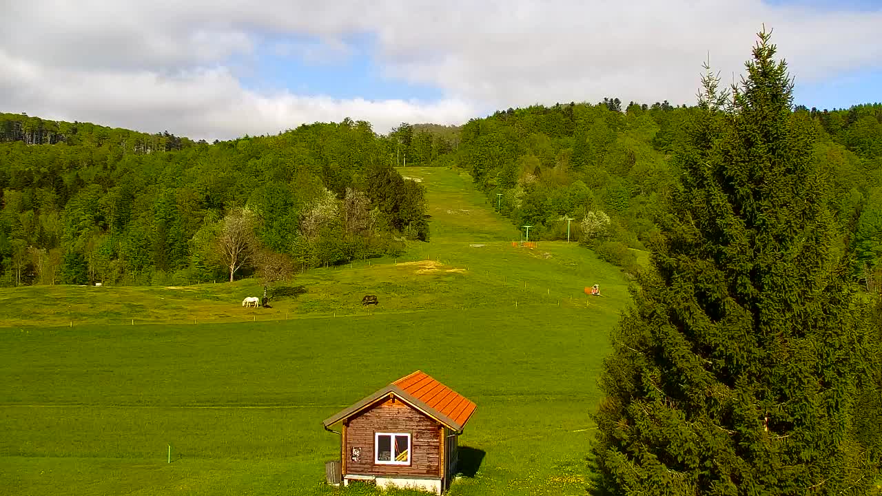 Webcam Lokve – La beauté de la forêt de Trnovo