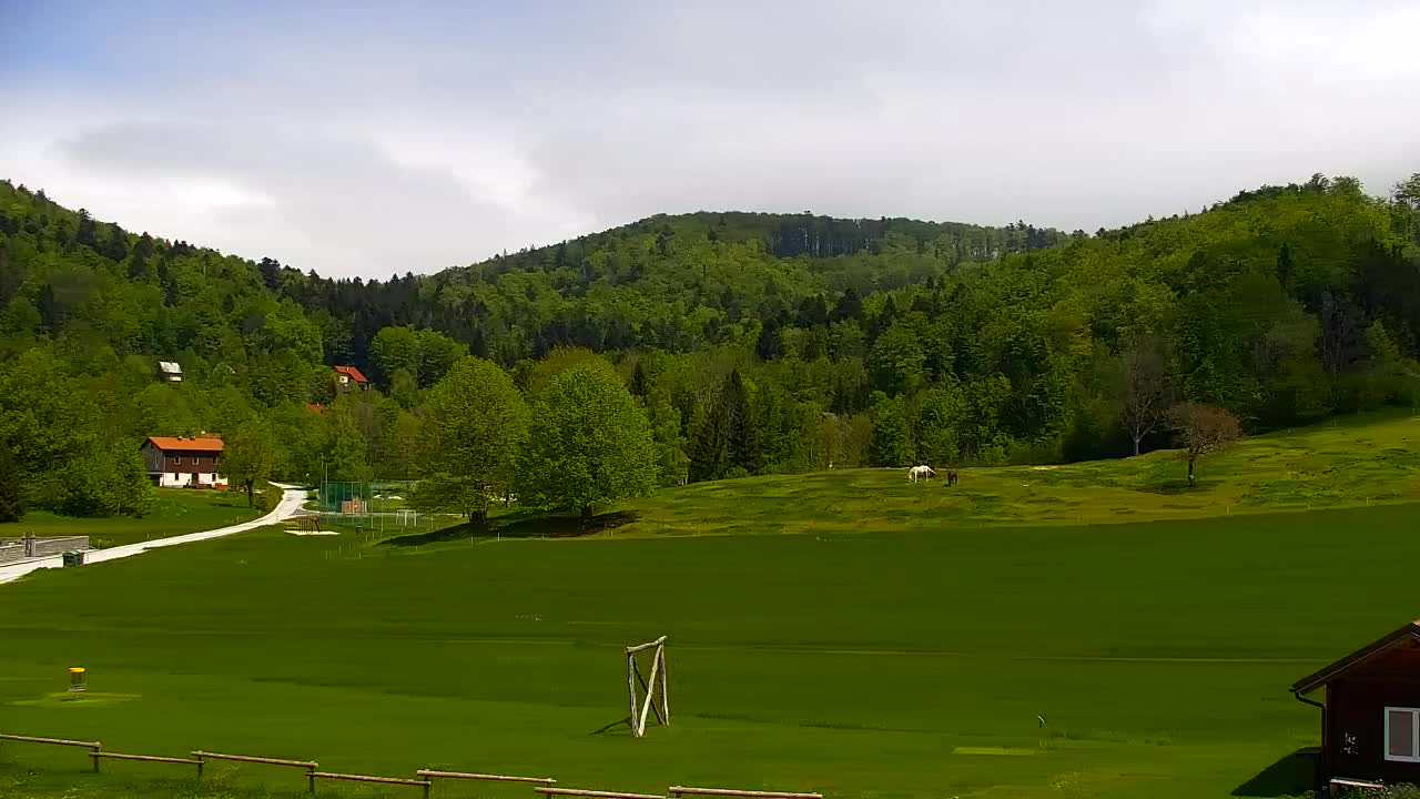 Webcam Loqua / Lokve – La bellezza della selva di Tarnova