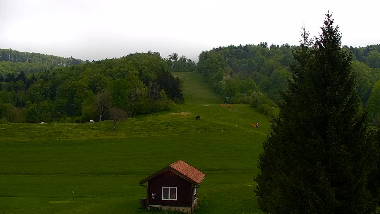 Webcam Lokve – La beauté de la forêt de Trnovo
