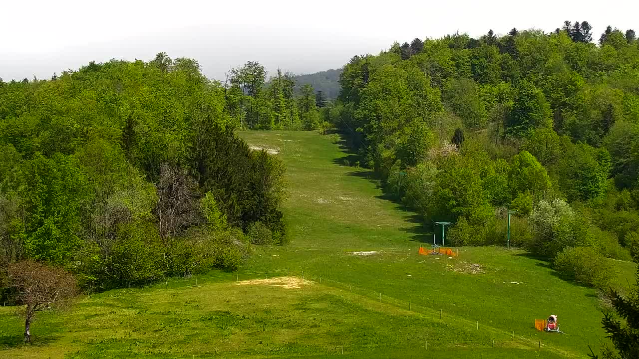 Webcam Lokve – The beauty of the Trnovo forest