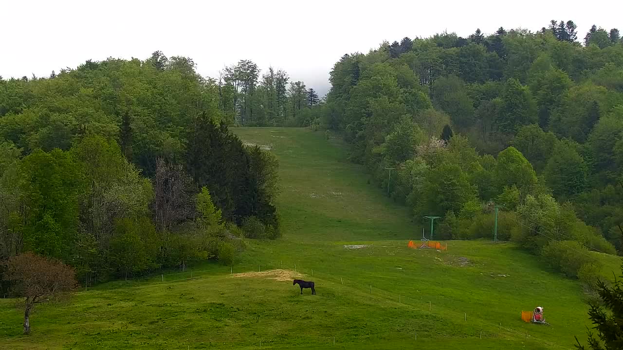 Webcam Lokve – The beauty of the Trnovo forest