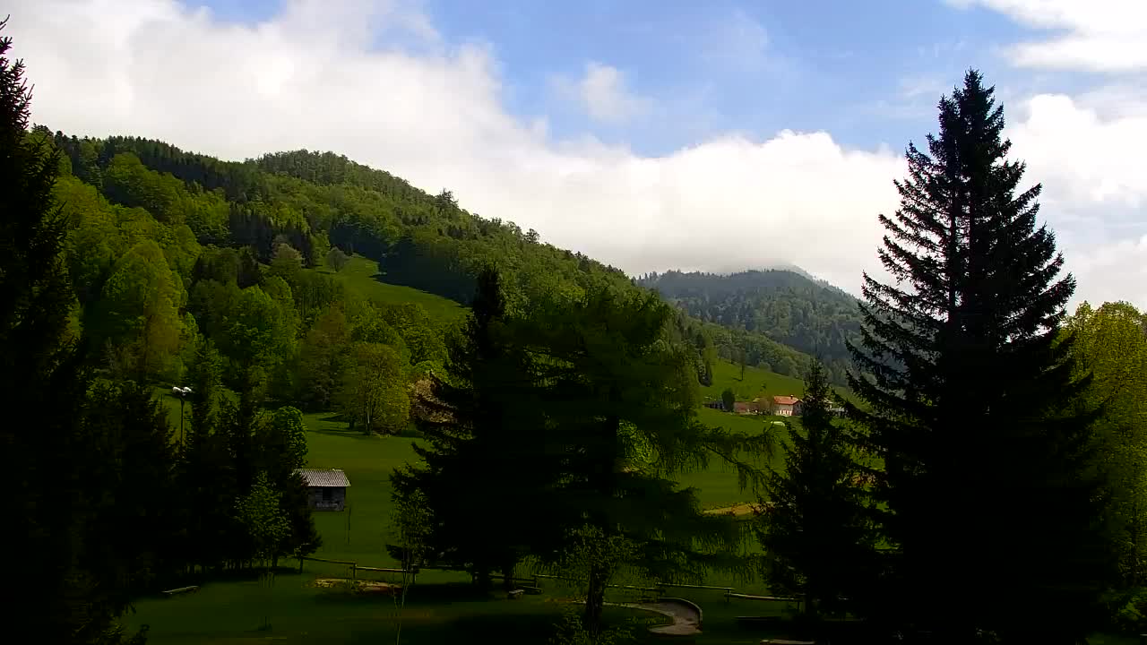 Webcam Lokve – The beauty of the Trnovo forest