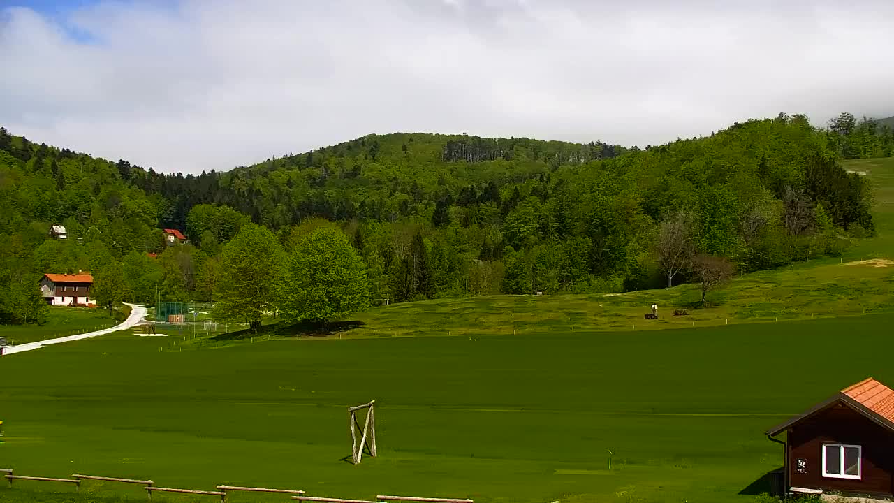 Webcam Loqua / Lokve – La bellezza della selva di Tarnova